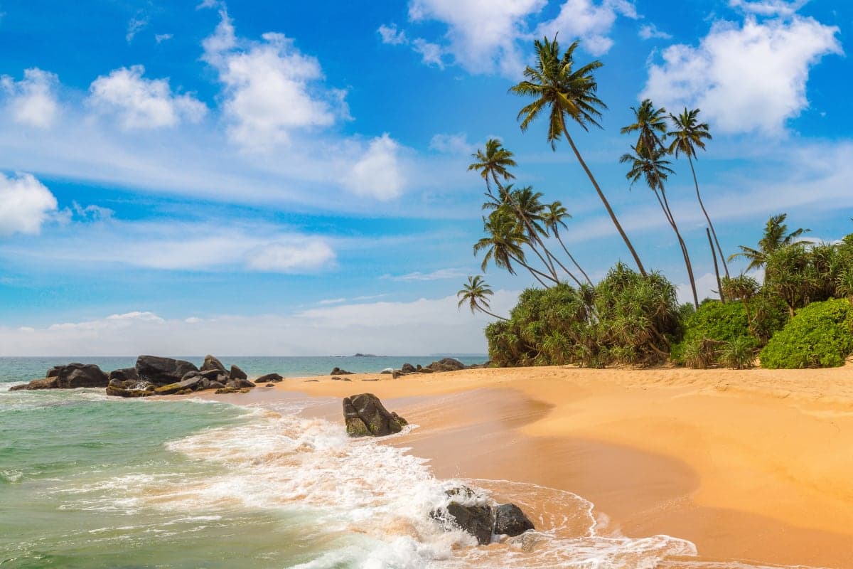 Экзотический отдых на Шри-Ланке 🏖️ Встретьте слонов и отдохните у океана ☀️