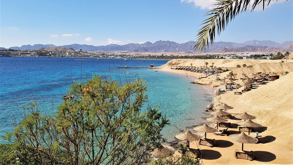 Египет все включено🍹 вместо морозов в декабре 😎 В Шарм-эль-Шейхе 24 градуса 🌡️