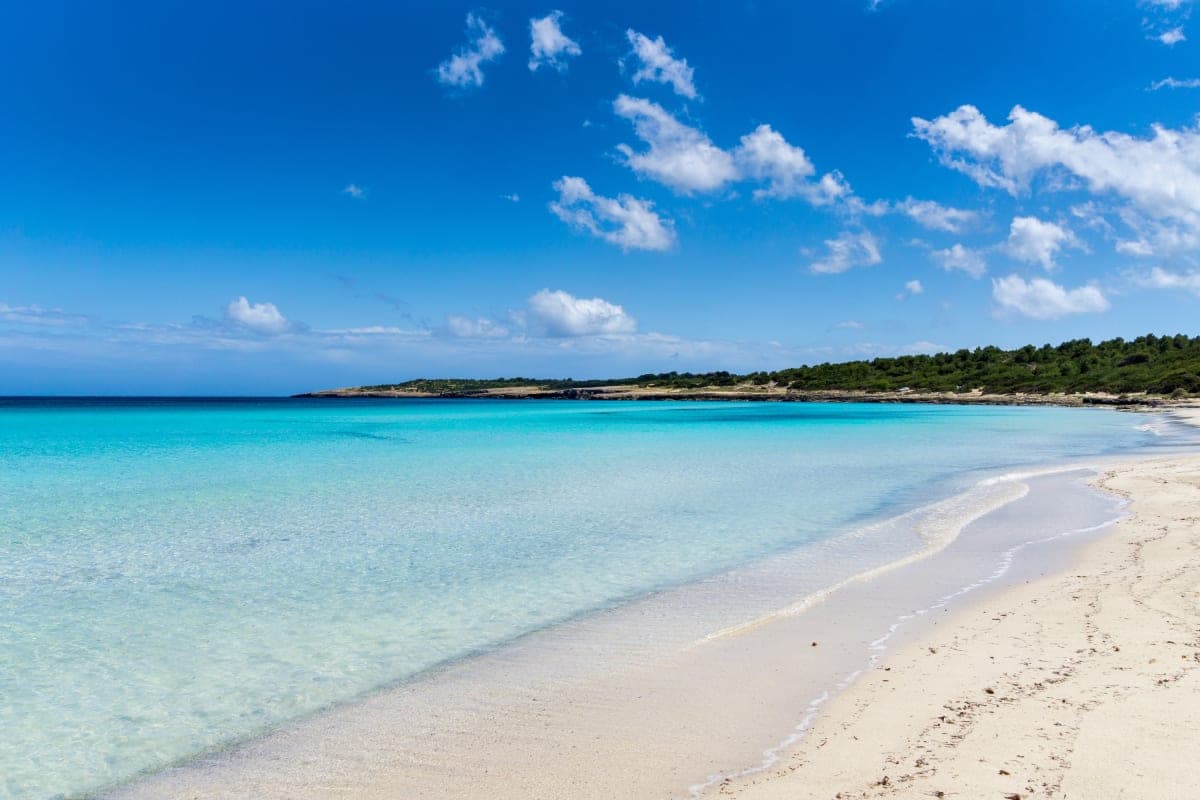 Еще неделя отдыха в октябре 🏝️ на Майорке 🏖️ Всего 1605 зл/чел 🤩