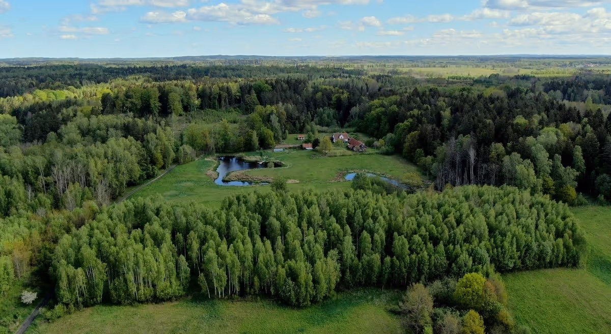 Сидлиско Летняя Кухня